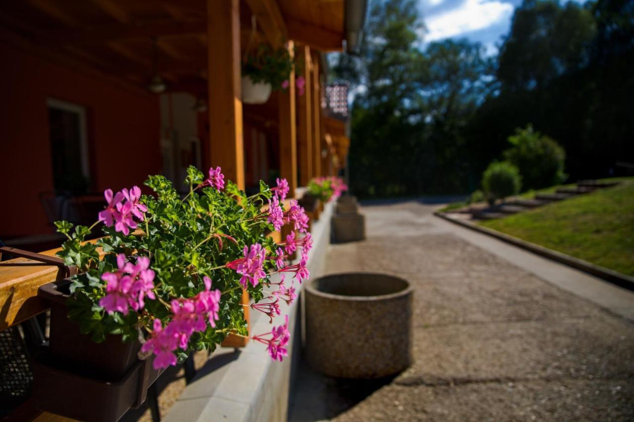 Penzion Amfik Bukovina Popovice  외부 사진